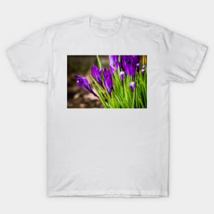 Spring Crocus 8 T-Shirt